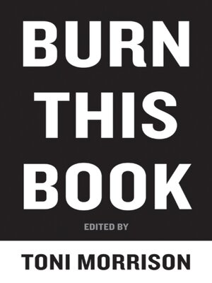 cover image of Burn This Book